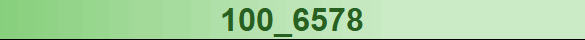 100_6578